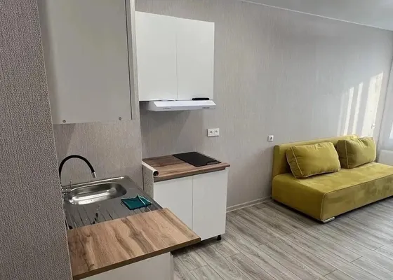 Студия, 24 м², 14/17 эт.